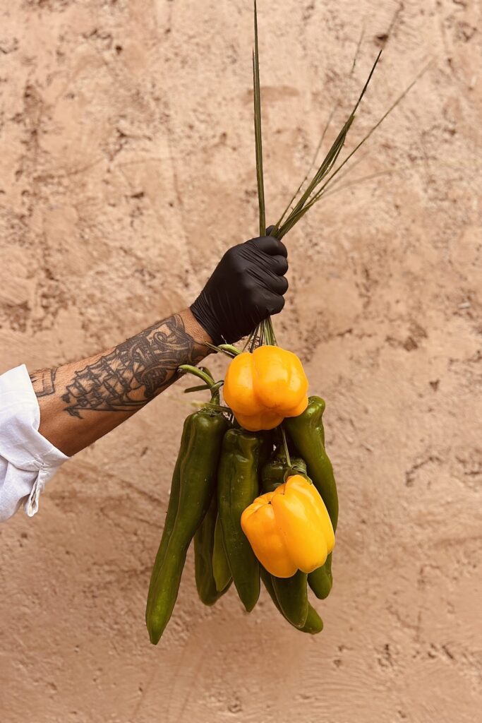 IMG_5699-scaled-e1732015745733