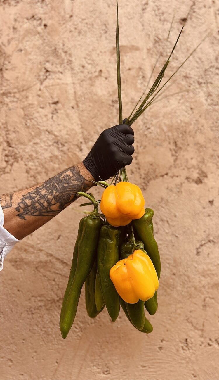 IMG_5699-scaled-e1732015745733